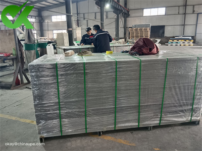 <h3>15mm high quality HDPE sheets for Fish farming-Cus-to-size </h3>
